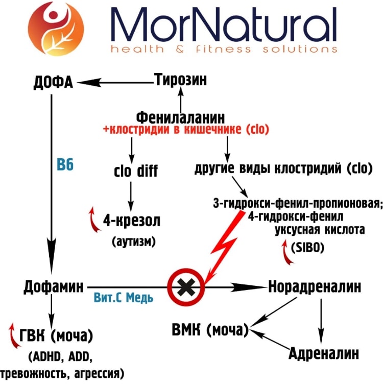 IMG-20181202-WA0032_14-47-34-min.jpg