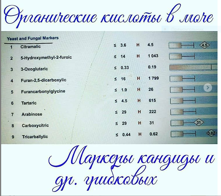 Маркеры кандиды. Орг.кислоты в моче.PNG